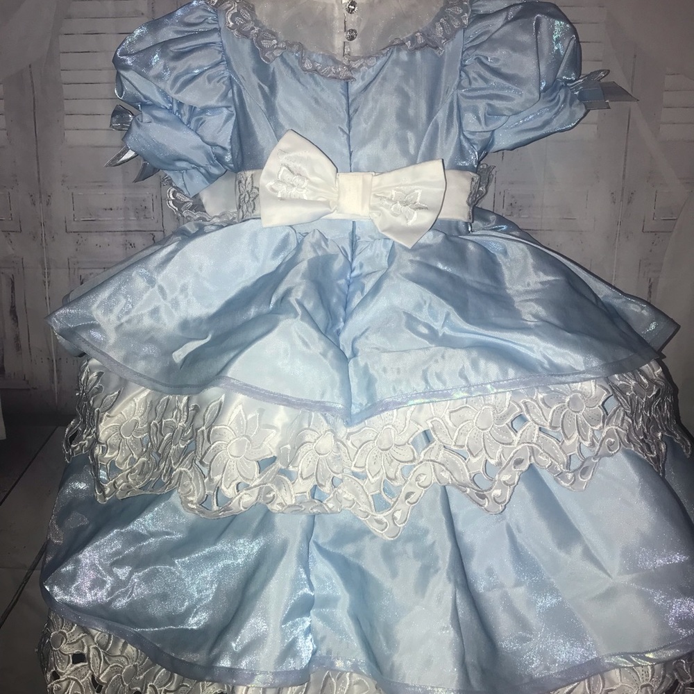 CHASING FIREFLIES DELUXE GIRLS ALICE IN WONDERLAND BLUE COSTUME DRESS NWOT. - Picture 2 of 11